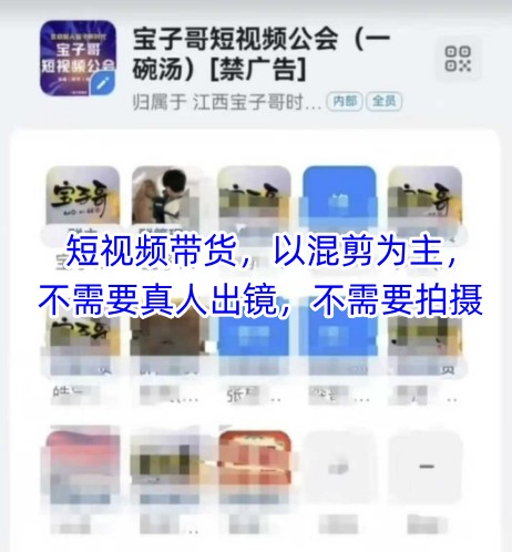 宝子哥头部团队短视频带货，以混剪为主，不需要真人出镜，不需要拍摄【更新11月】-创客联盟