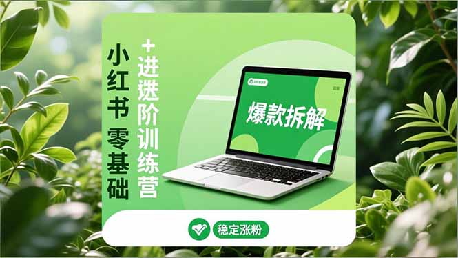 小红书零基础+高阶训练营：安全养号、爆款拆解、长效运营，实现稳定涨粉与变现-创客联盟