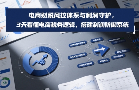 电商财税风控体系与利润守护，3天看懂电商税务逻辑，搭建利润防御系统-创客联盟